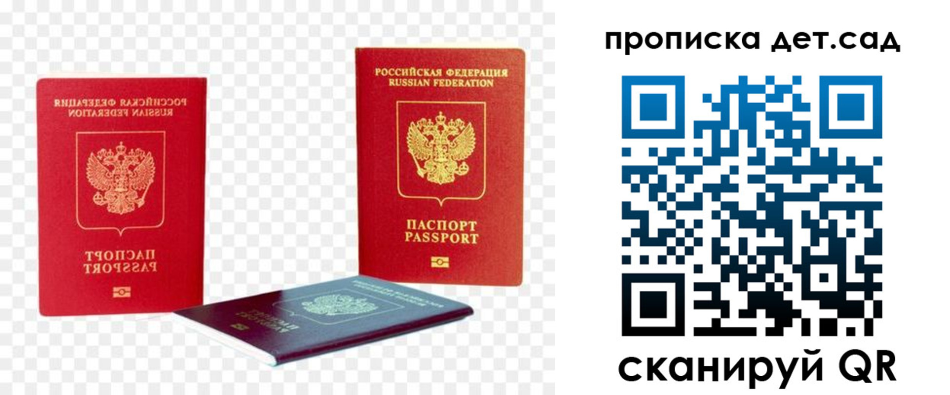 прописка законно в Светлогорске